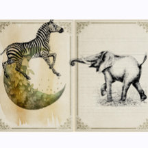 Zebra Vintage Safari animal
