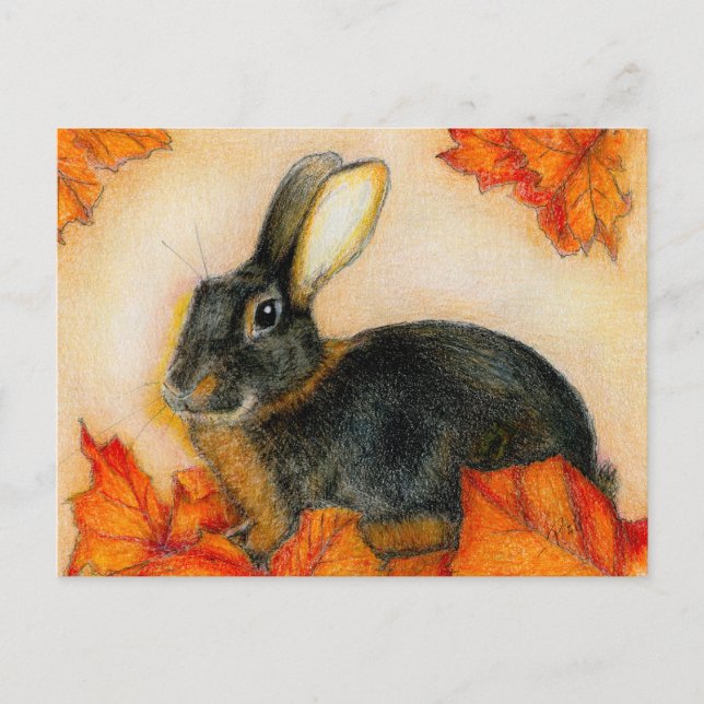 TAN AND BLACK POSTCARD (Front)