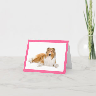 Tan And White Collie Puppy Dog Blank Note Card