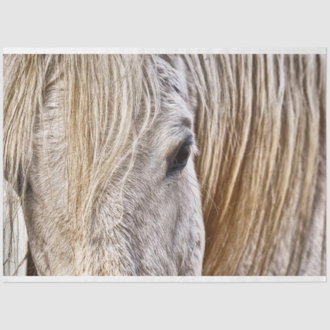 tan barn horse tissue paper (Front)