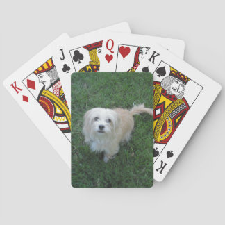 Tan "Benji" Type Mutt on Grass Playing Cards
