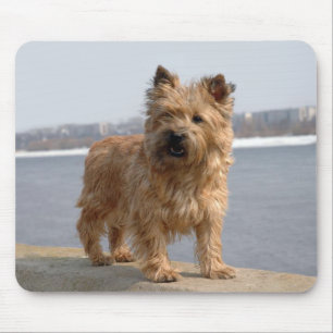 Tan Cairn Terrier Puppy Dog Love Mousepad