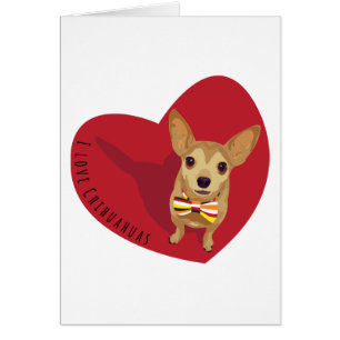 Tan Chihuahua avec cravate arc dans un coeur rouge