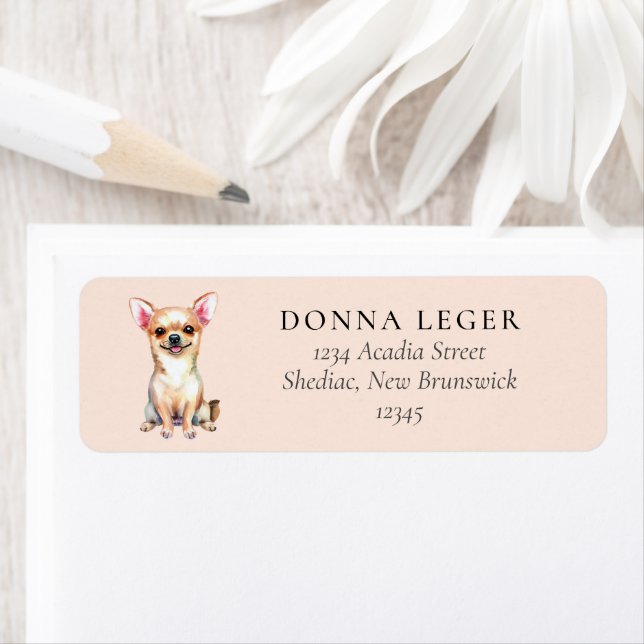 Tan Chihuahua Dog Address (Insitu)
