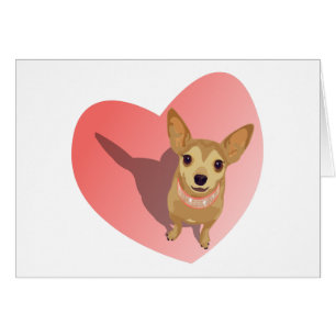 Tan Chihuahua in diamond pink collar in heart