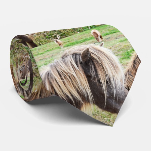 Tan Colored Shetland Pony, Tie (Rolled)