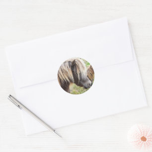 Tan Coloured Shetland Pony, Classic Round Sticker