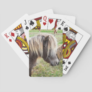Tan Coloured Shetland Pony, Playing Cards