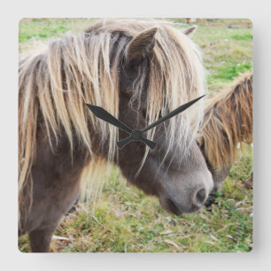 Tan Coloured Shetland Pony, Square Wall Clock