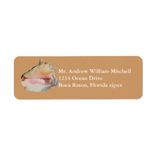 Tan Conch Shell