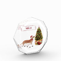 Tan Dachshund Funny Christmas Dog with Tree