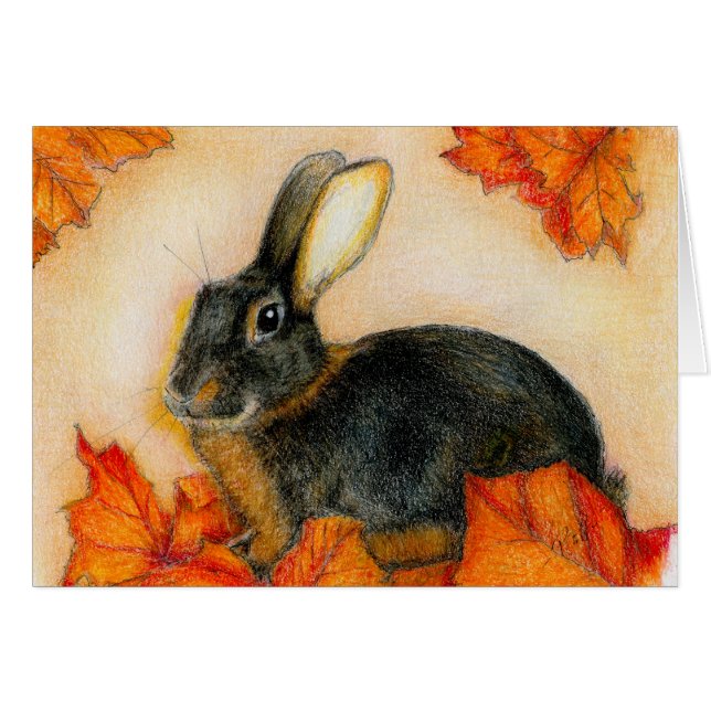 TAN ET NOIR (Devant horizontal)