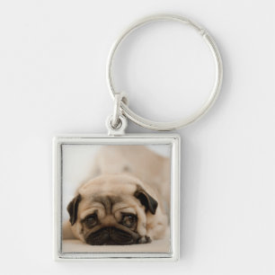 Tan Female Pug Keychain
