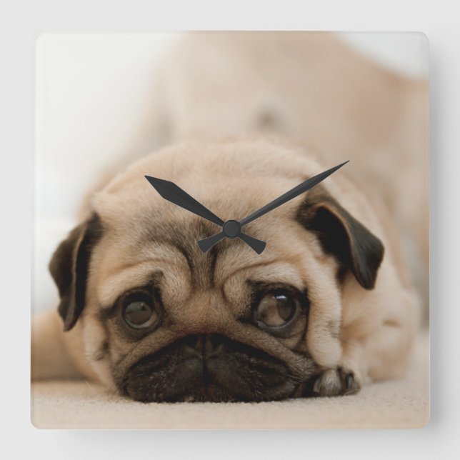 Tan Female Pug Square Wall Clock (Front)