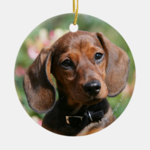 Tan Miniture Dachshund Ceramic Ornament