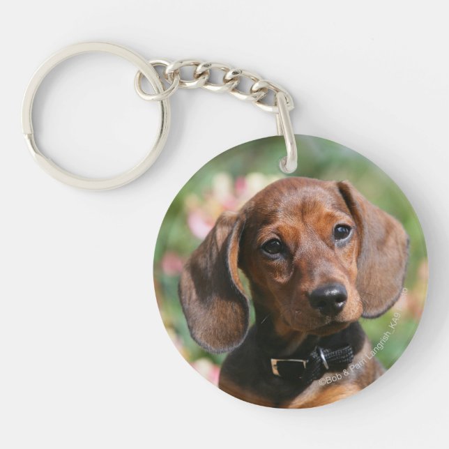 Tan Miniture Dachshund Keychain (Front)