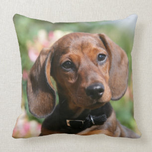 Tan Miniture Dachshund Throw Pillow