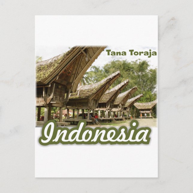 Tana Toraja Indonesia Souvenir Postcard (Front)