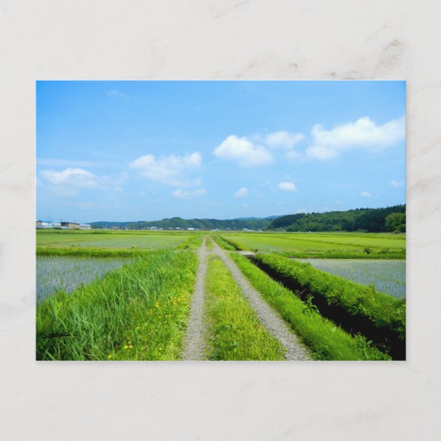 Tanbo Road Postcard (Front)