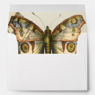 Tandem Butterflies Over Green Leaves Envelopes