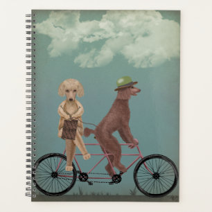 Tandem de caniche