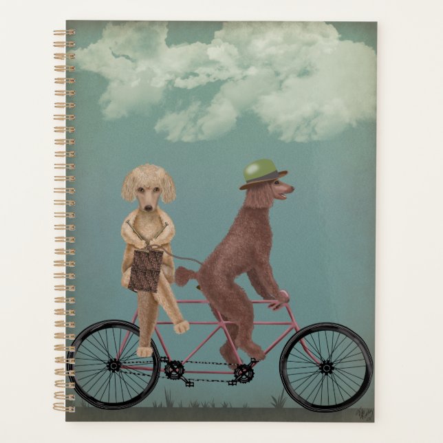 Tandem de caniche (Devant)