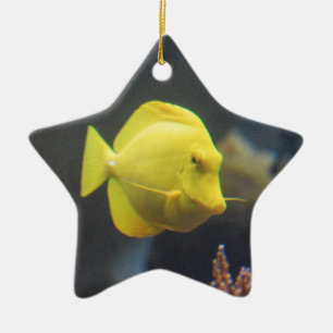 Tang Fish Ceramic Ornament