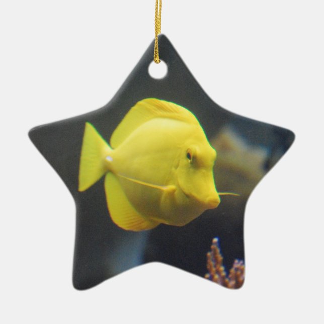 Tang Fish Ceramic Ornament (Front)