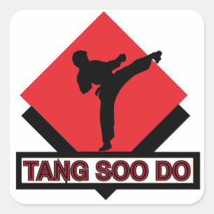 Tang Soo Do square stickers