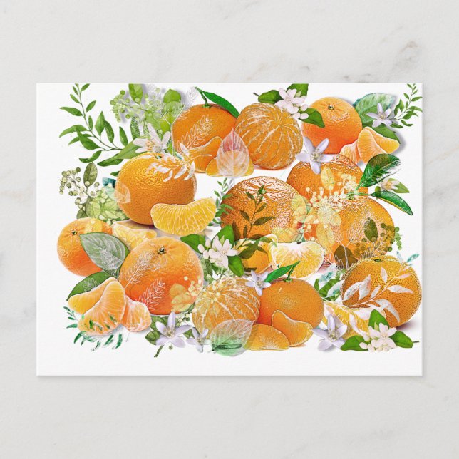 Tangerine Dreams Postcard (Front)