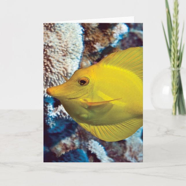 Tangessence Card (Front)