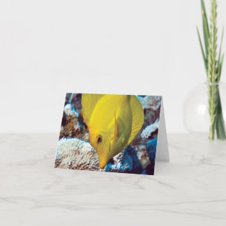 TangEssence Note Card