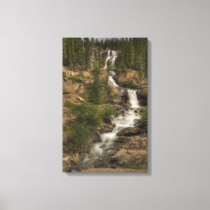 Tangle Falls Canvas Print