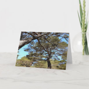 Tangled Branches Of Pine Trees Bizarre Perspective Card