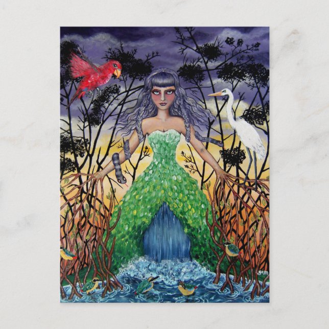 Tangled in the Mangroves Postcard (Front)