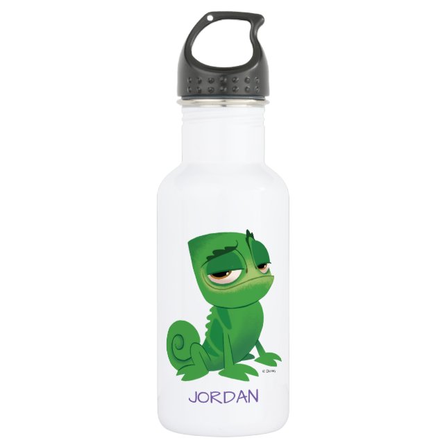 Tangled | Pascal 532 Ml Water Bottle (Front)