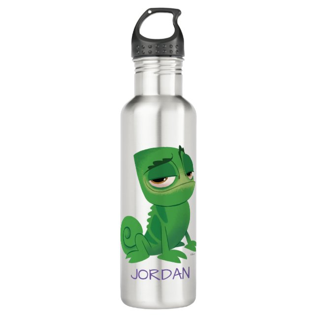 Tangled | Pascal 710 Ml Water Bottle (Front)
