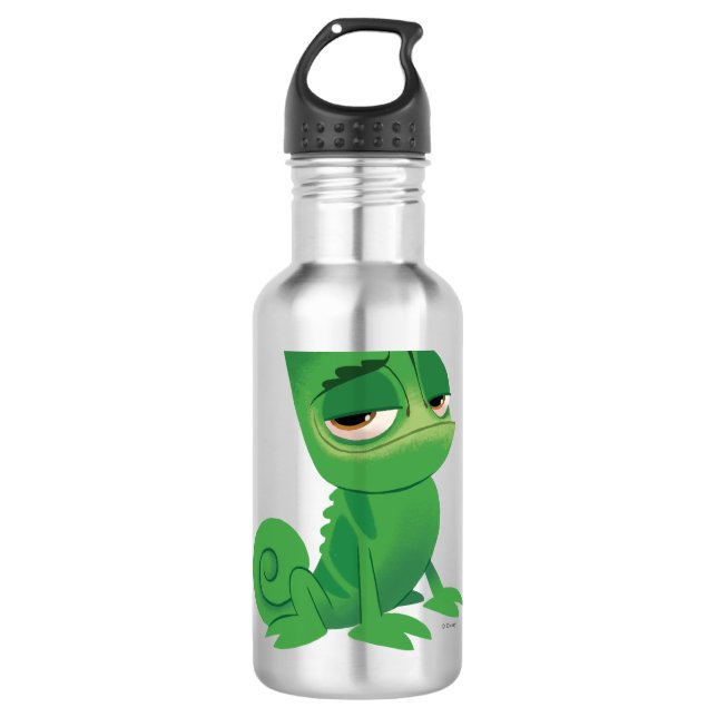 Tangled | Pascal 710 Ml Water Bottle (Front)