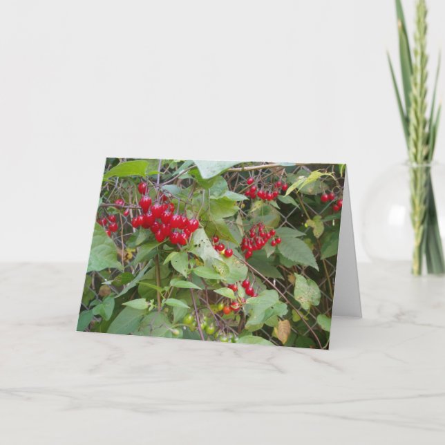"Tangled Vine" Get Well Card (Front)