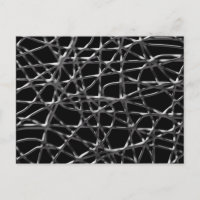 Tangled Web Postcard