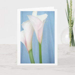 Tango White Calla Lily Photo Art Greeting Card