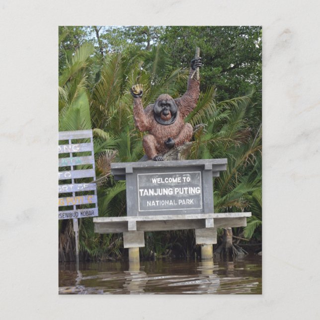 Tanjung Putting National Park, island of Borneo Postcard (Front)
