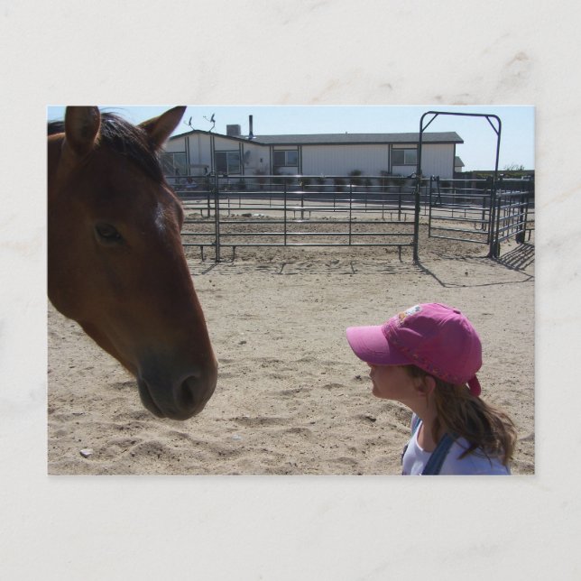 Tank & Baylie Postcard (Front)