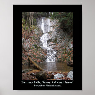 Tannery Falls Savoy National Forest Berkshires, MA Poster