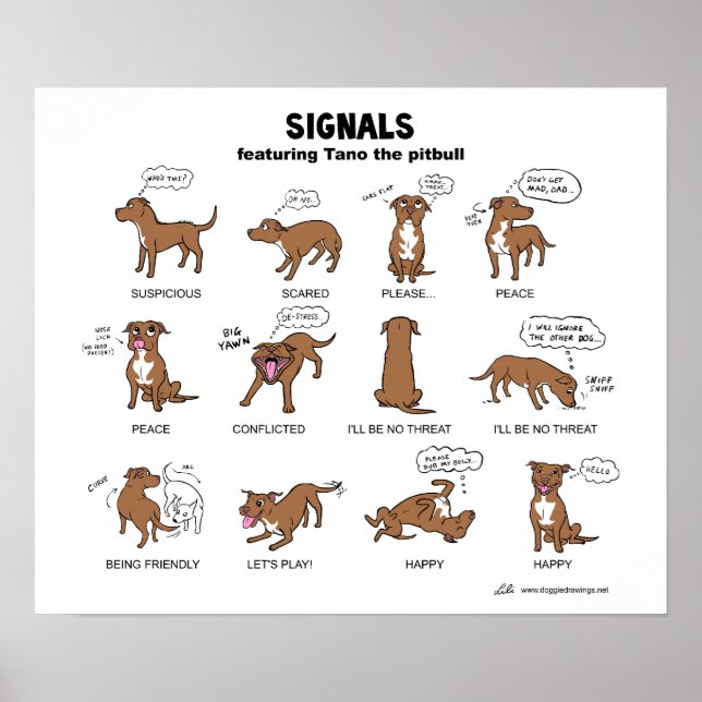 TANO Signals Poster (Front)
