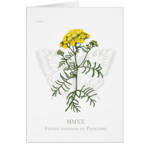 Tansy and Swallowtail card