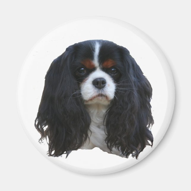 Tansy Magnet (Front)