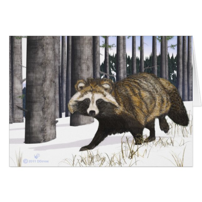 Tanuki - Raccoon Dog (Front Horizontal)