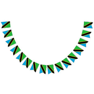 Tanzania Flag