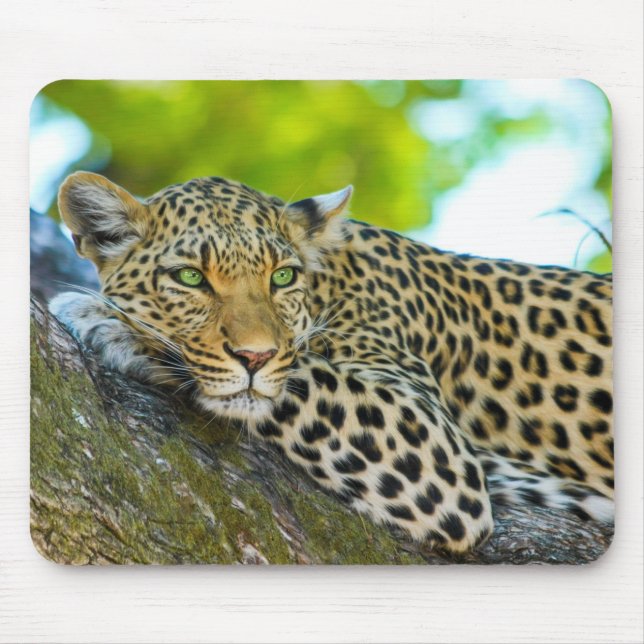 Tanzania Leopard Mouse Pad (Front)